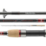 Спиннинг штекерный DAIWA ACCUDEPTH TROLLING 2,70M 15-30LB 11821-270